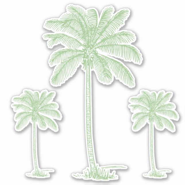 Preppy Green Coastal Palmetto Palm Trees (Front)