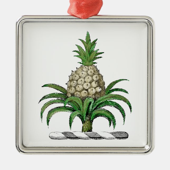 Preppy Heraldic Pineapple Coat of Arms Crest Metal Ornament (Front)