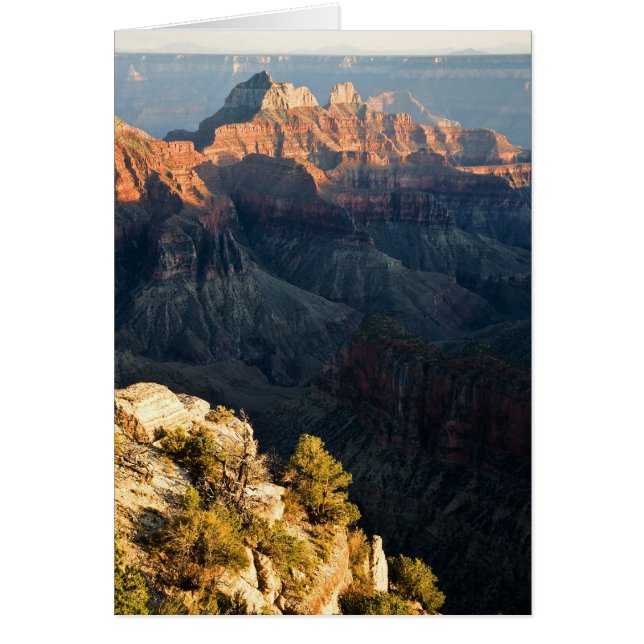 Près De L'Arête (Devant)