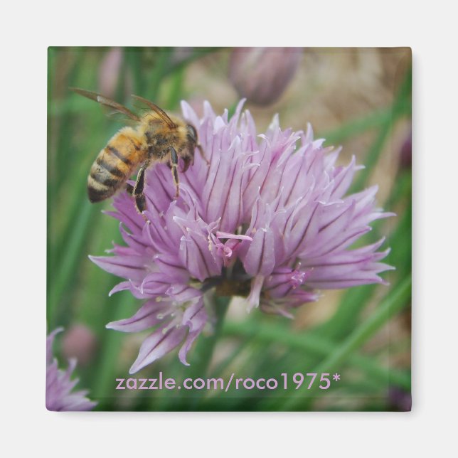 pres vous magnet (Front)