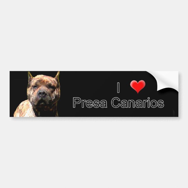 Presa Canario bumper sticker (Front)