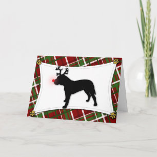 Presa Canario Reindeer Christmas Card