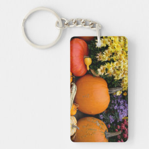 Présentation colorée de citrouilles décoratives d'
