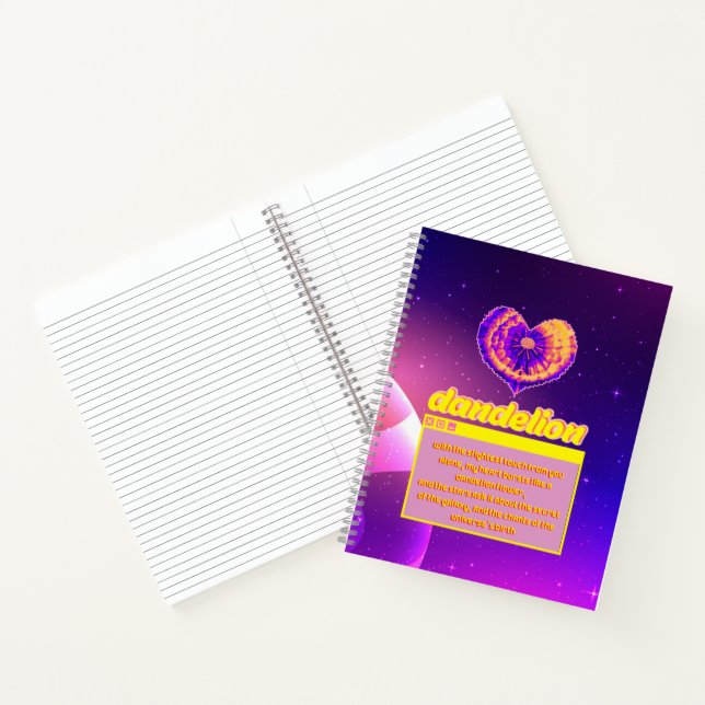 Presentation : The effect of love in the big bang Notebook (Inside)