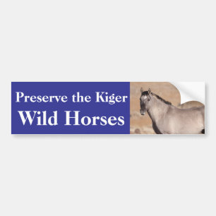 Preserve the Kiger Wild Horses Bumper Sticker
