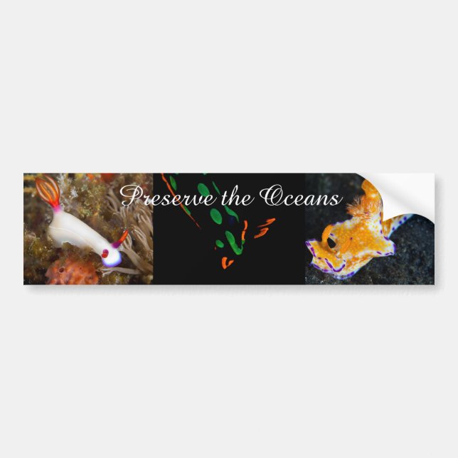 Preserve the Oceans Bumper Sticker (Front)