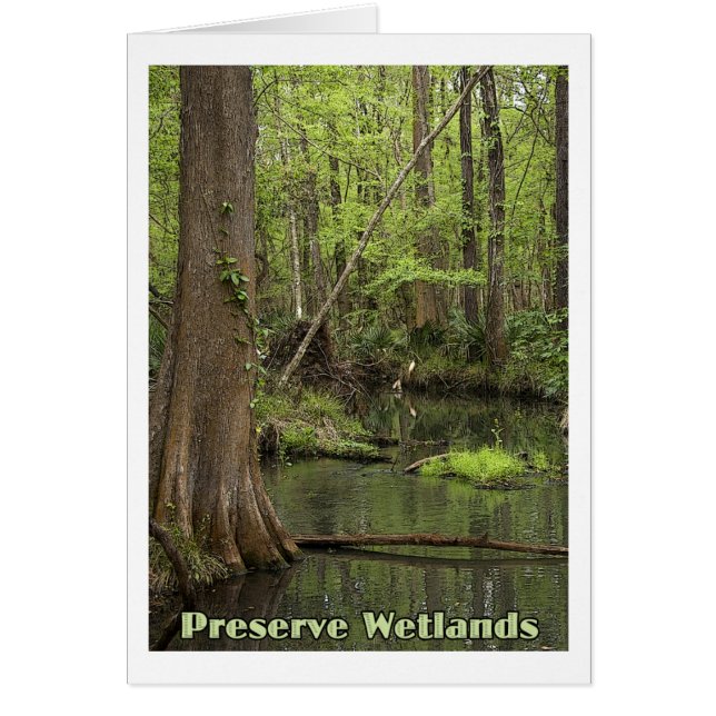 Preserve Wetlands (Front)