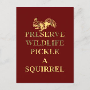 Preserve wildlife pickle a squirrel postcard