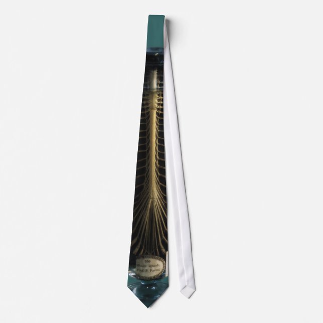 Preserved Spine Tie (Front)
