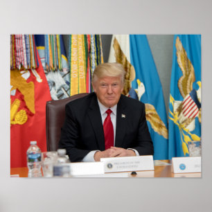 President Donald Trump Poster