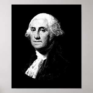 President George Washington Graphic Poster