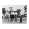 President Harding Golf Foursome, 1920s