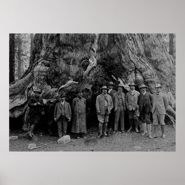 President Roosevelt and John Muir California 1903 Poster (Front)