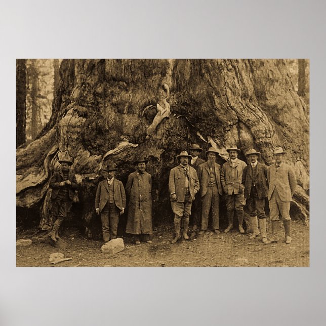 President Roosevelt and John Muir California Sepia Poster (Front)