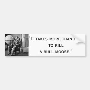 President Teddy Roosevelt Vintage White House Bumper Sticker
