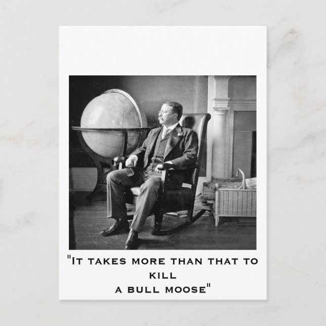 President Teddy Roosevelt Vintage White House Postcard (Front)