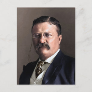 President Theodore Roosevelt Postcard