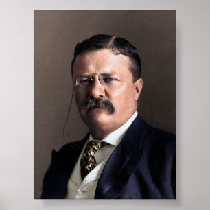 President Theodore Roosevelt Poster