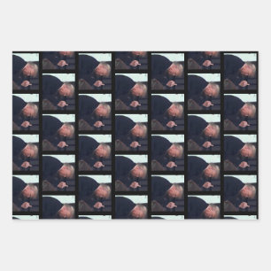 President Trump Flipping the Bird Wrapping Paper Sheet