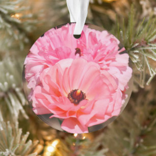 Presse en rose