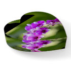 Belle orchidée violette