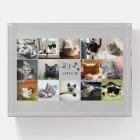 Collage photo de chat avec Empreintes de pattes