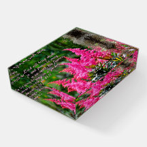 Isaïe 61:11 Inspiration florale rose