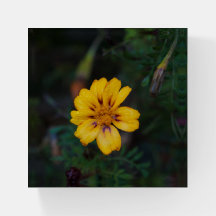 Papier jaune à fleurs