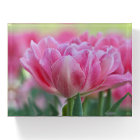 Tulipes roses en fleurs