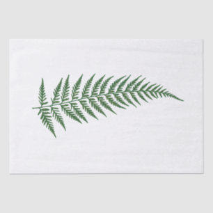 Pressed Botanical Fern Leaf - Mix and Match Colour Tissue Paper