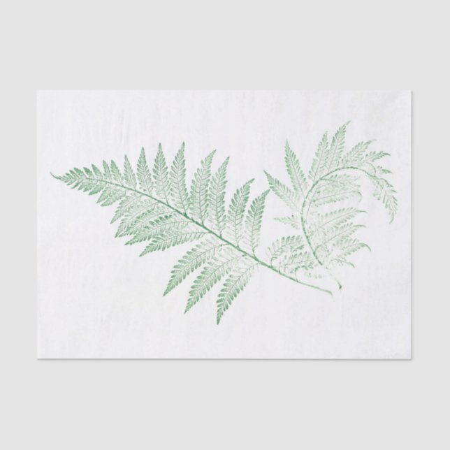 Pressed Fern Leaves Tissue Paper (Front)