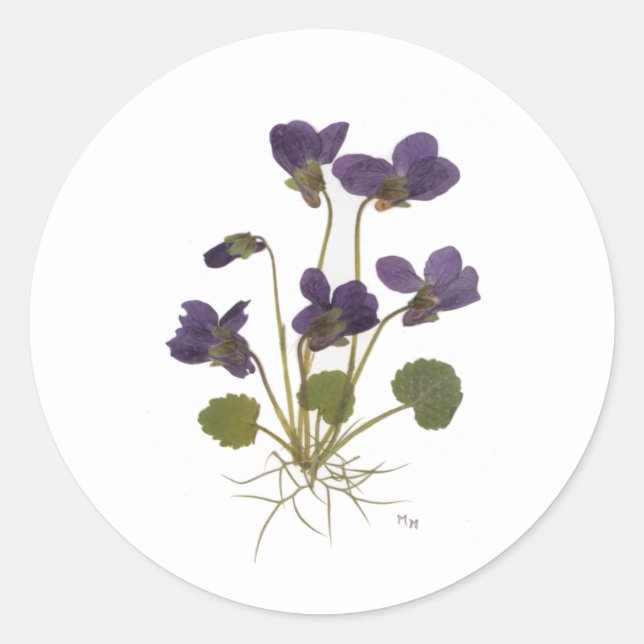 Pressed Flower Design Classic Round Sticker (Front)