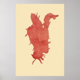 Pressed Seaweed Original Second Of Four Poster