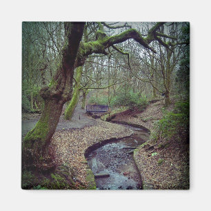 Prestwich Clough Magnet
