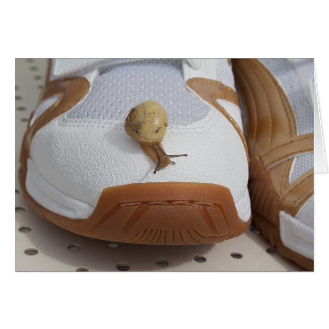 Prêt Pour La Course Des Escargots (Devant horizontal)