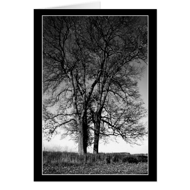 Prêt pour l'hiver (Devant)