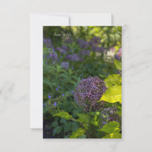Pretty Allium Card