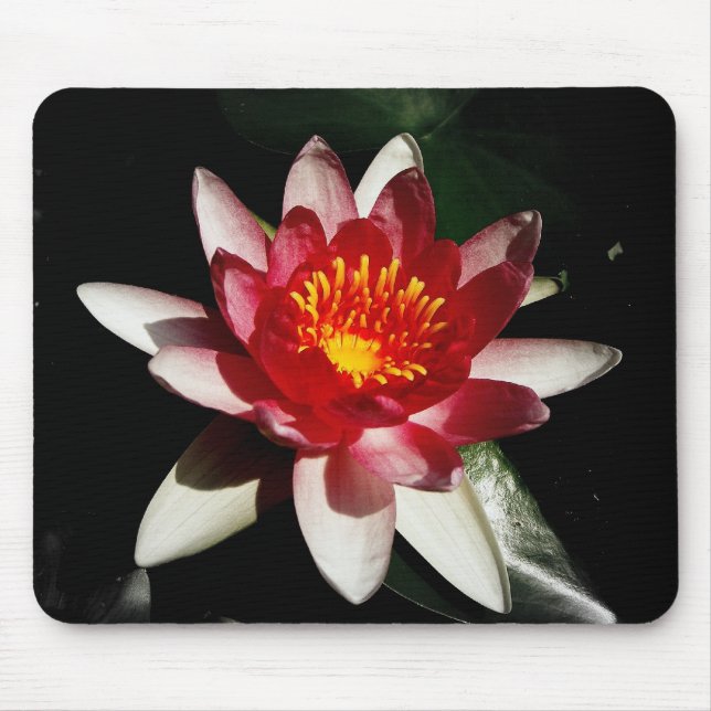 Pretty and Pink Mouse Pad (Front)