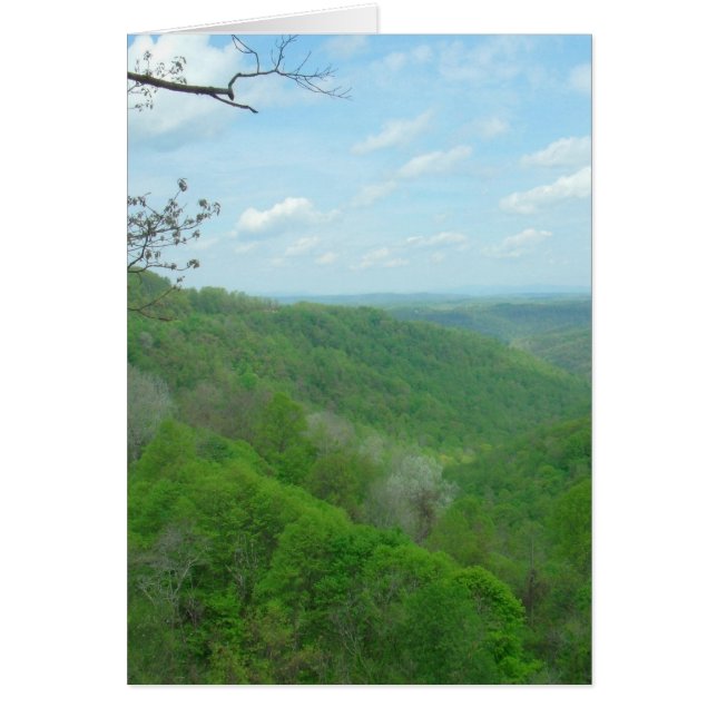 Pretty Appalachian Overlook (Front)