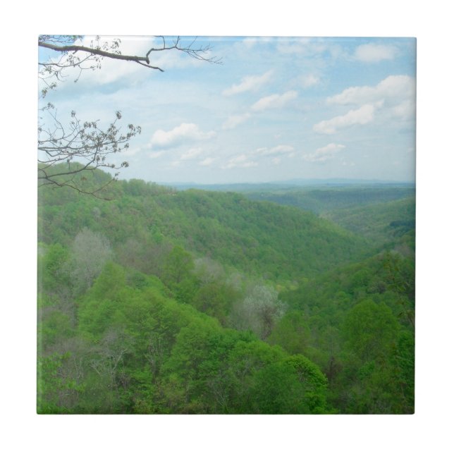Pretty Appalachian Overlook Tile (Front)