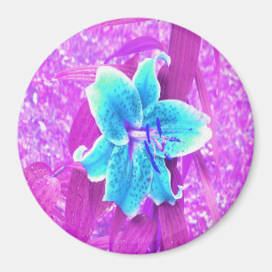 Pretty Aqua Blue Stargazer Lily on Purple Magnet