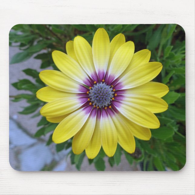 Pretty as Sunshine Mouse Pad (Front)