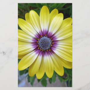 Pretty as Sunshine Stationery