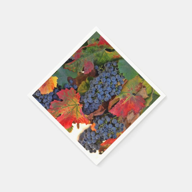 Pretty Autumn Coloured Wine Vineyard Cocktail Napkin (Corner)