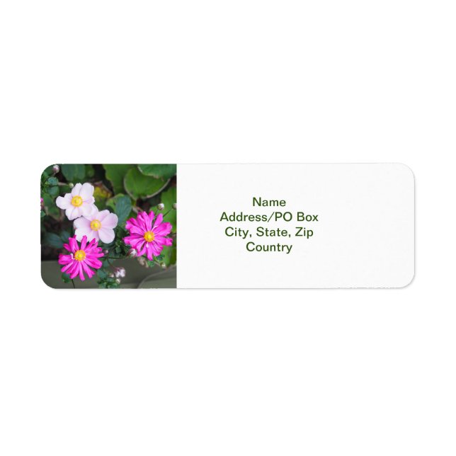 Pretty Autumn Fall Flowers Pink Anemones  (Front)