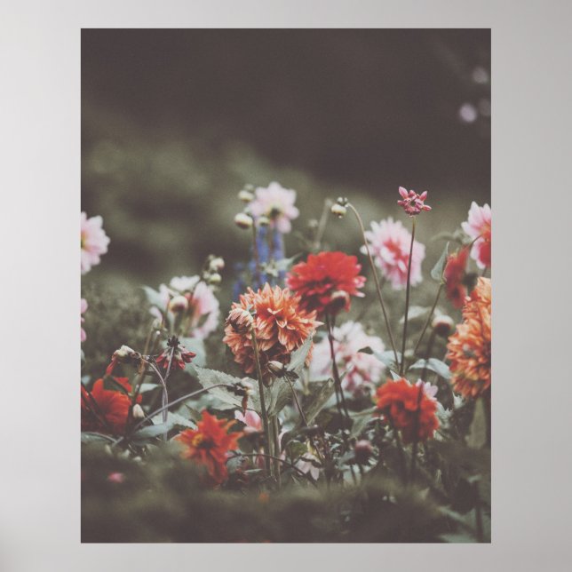 Pretty Autumn Flowers Photography Poster (Front)
