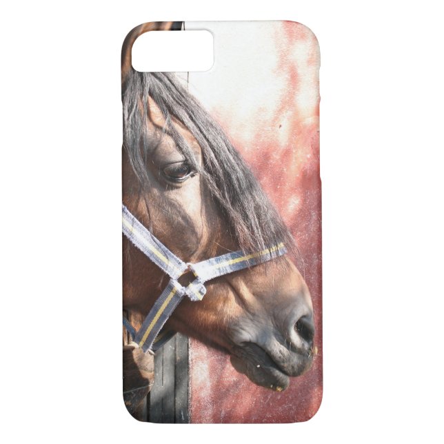 Pretty Bay Horse in a Sunlit Stable Case-Mate iPhone Case (Back)