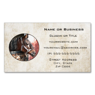 Pretty Bay Horse in a Sunlit Stable Magnetic Business Card