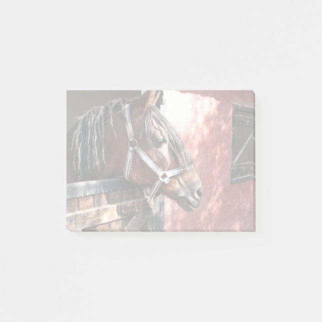 Pretty Bay Horse in a Sunlit Stable Post-it Notes (Front)