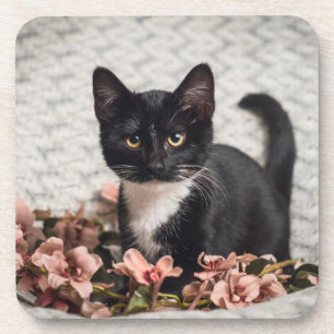 Pretty Bella Rose Coaster